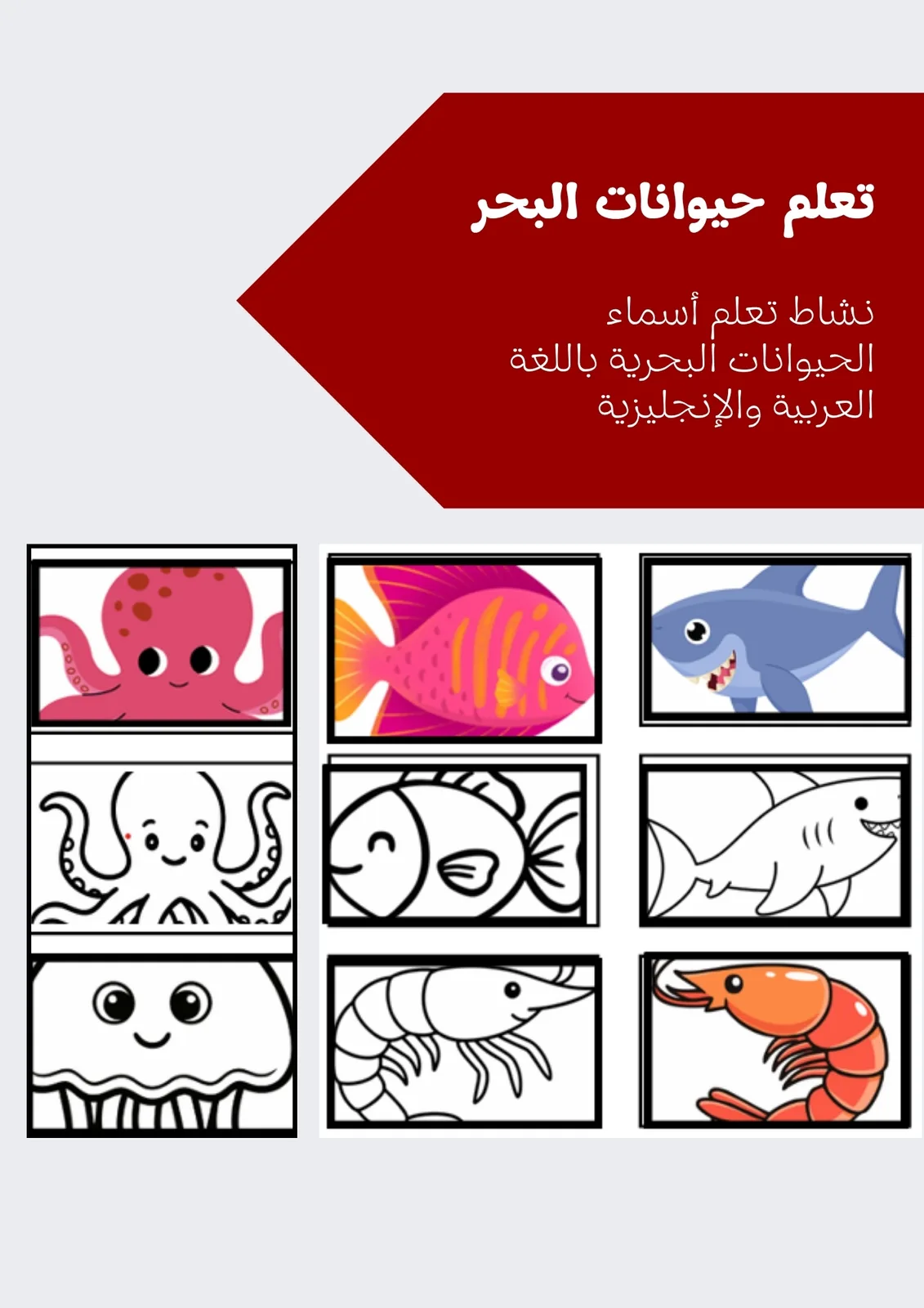 Sea animals